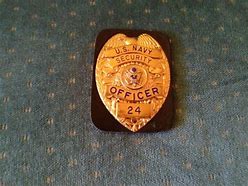 Image result for Picture of an SS Officer Colored
