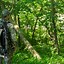 Image result for Big Game Tree Stands