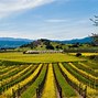 Image result for Napa Valley Mansions