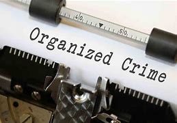Image result for Organised Crime Groups