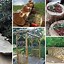 Image result for Cool Outdoor Wood Projects