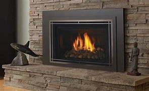 Image result for Gas Fireplace Inserts