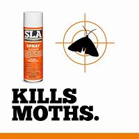 Image result for Cedar Moth Repellent