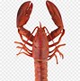 Image result for Red Lobster Clip Art