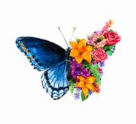 Image result for Butterfly Artwork