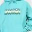 Image result for Oversized Pink Champion Hoodie