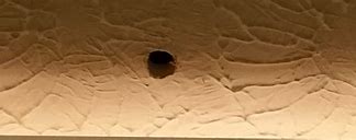 Image result for Wall Patches for Holes
