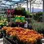 Image result for Lowe's Garden Center Planters