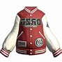 Image result for Varsity Jacket Leather Sleeves