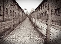 Image result for Birkenau
