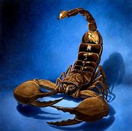 Image result for Scorpion Painting