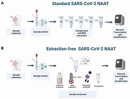 Image result for Virus Extraction
