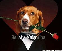 Image result for Funny Valentine Screensavers