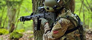 Image result for Latvian Military Organization