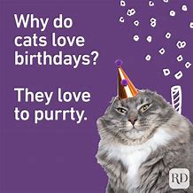 Image result for Happy Birthday Cat Puns
