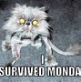 Image result for Happy Not Monday Memes