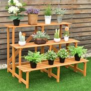 Image result for Plant Display Stand