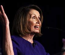 Image result for Pelosi Wall around House