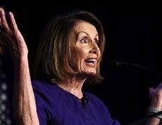 Image result for Nancy Pelosi House Fence