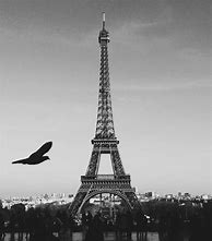 Image result for White Eiffel Tower
