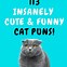 Image result for Cheesy Cat Puns