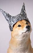 Image result for Tin Foil Hat Dog