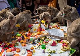 Image result for Monkeys feast Lopburi