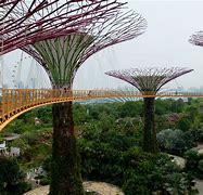 Image result for Singapore Sky Garden