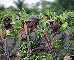 Image result for Second Congo War Primary Sources