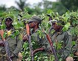 Image result for Congo Militia