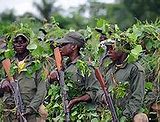 Image result for Second Congo War Take Place