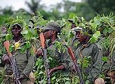 Image result for Un Second Congo War