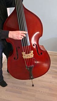 Image result for Double Bass