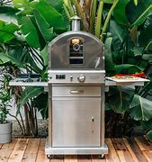 Image result for natural gas pizza oven