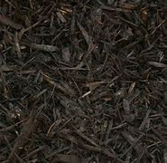 Image result for Black Mulch