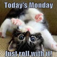 Image result for Monday Funny Cat Cartoons