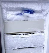 Image result for Defrosting Freezer Dripping