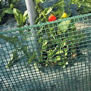 Image result for Garden Mesh Product