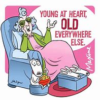 Image result for Funny Cartoons About Aging