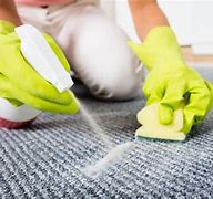 Image result for Spot Cleaning Carpet