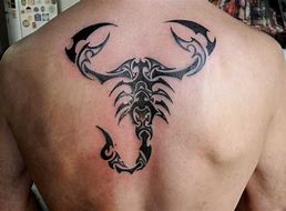 Image result for Tribal Scorpio Tattoo
