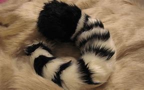 Image result for White Tiger Tail