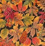 Image result for Fall Autumn Harvest Screensavers