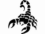 Image result for Scorpions Paramilitary