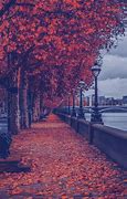 Image result for London Nature
