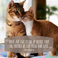 Image result for Funny Animal Quotes and Sayings