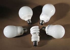 Image result for Fluorescent Light Bulbs