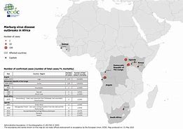 Image result for Tanzania confirms Marburg virus outbreak