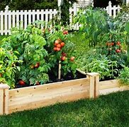 Image result for DIY Vegetable Planter Box