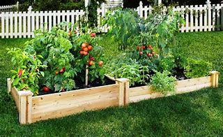 Image result for Garden Boxes